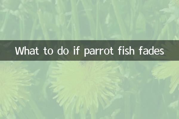 ブダイが消えたらどうするか