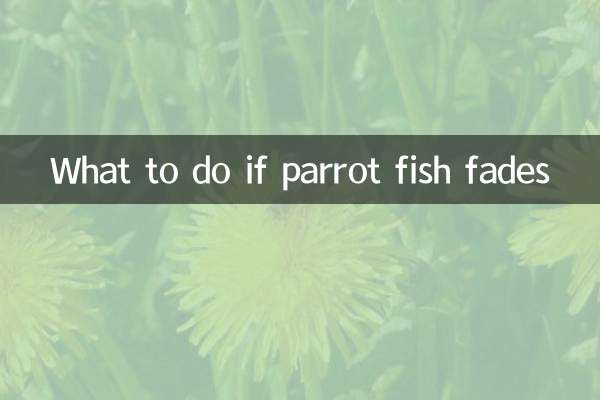 طوطے کی مچھلی ختم ہوجاتی ہے تو کیا کریں