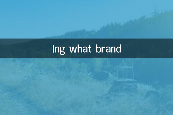 どのブランドですか