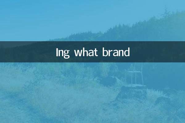 どのブランドですか