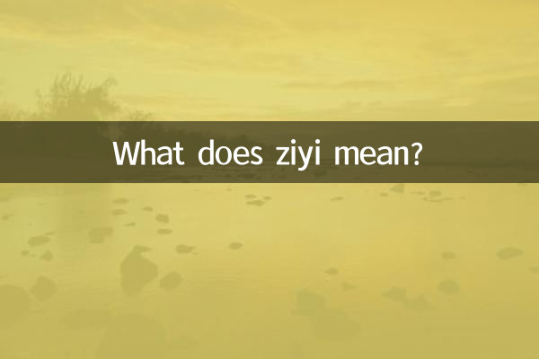 ziyi とはどういう意味ですか?