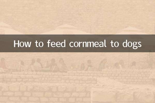 How to feed cornmeal to dogs