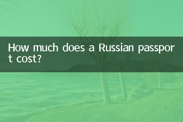 러시아 여권 비용은 얼마입니까?