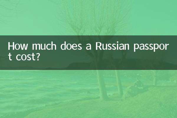 একটি রাশিয়ান পাসপোর্ট খরচ কত?