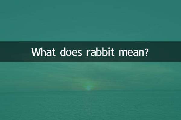 What does rabbit mean?