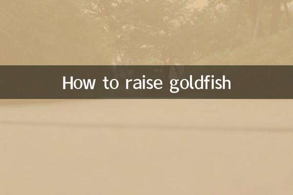 Come allevare i pesci rossi