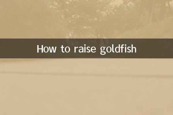 Como criar peixinho dourado