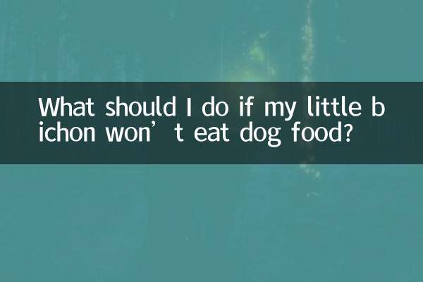 اگر میرا چھوٹا بیچون کتے کا کھانا نہیں کھائے گا تو مجھے کیا کرنا چاہئے؟