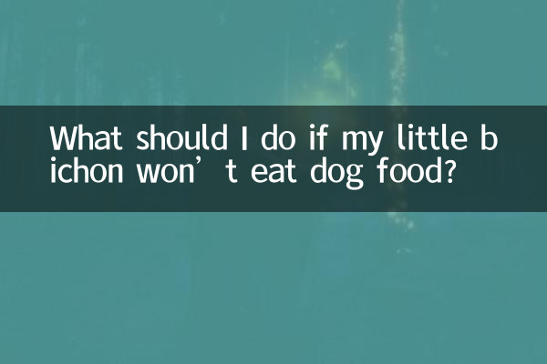 ماذا علي أن أفعل إذا كان حيواني الصغير لا يأكل طعام الكلاب؟