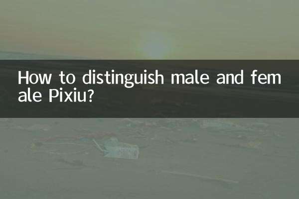 Comment distinguer les Pixiu mâles et femelles ?