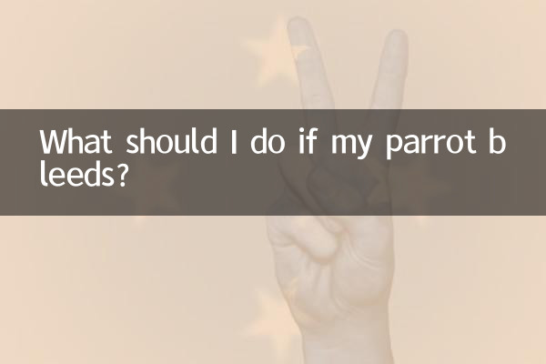 Cosa devo fare se il mio pappagallo sanguina?