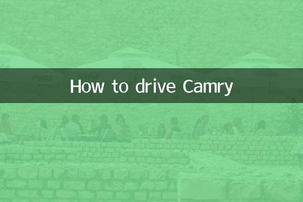 캠리 운전하는 방법