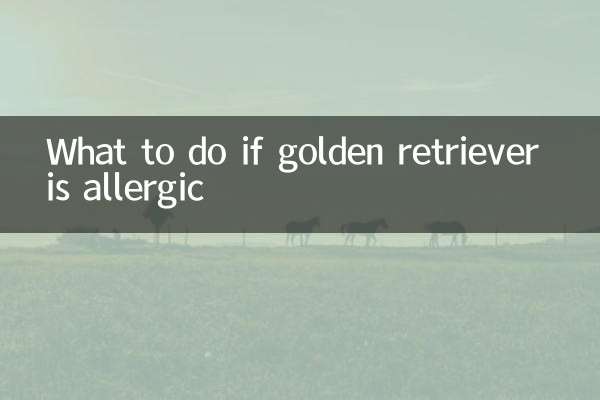 کیا کریں اگر گولڈن ریٹریور کو الرجک ہو