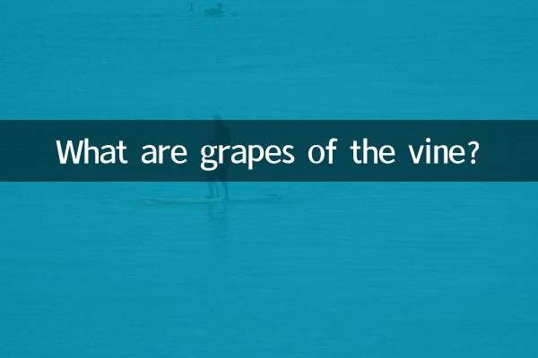 포도나무의 포도란 무엇입니까?