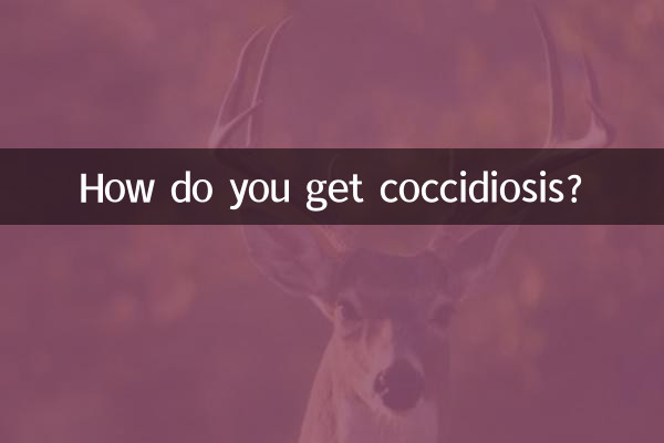 Como você pega coccidiose?