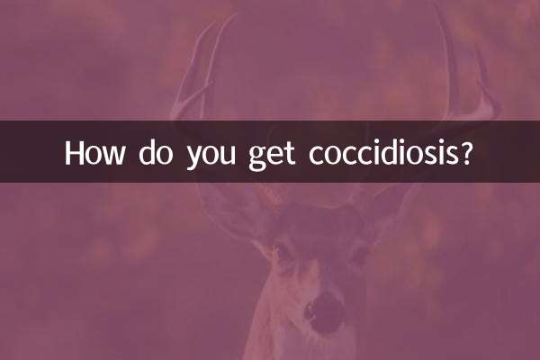 आपको कोक्सीडायोसिस कैसे होता है?