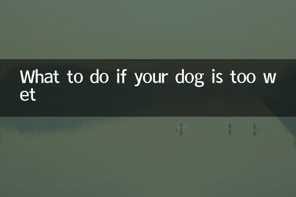 اگر آپ کا کتا بہت گیلے ہو تو کیا کریں