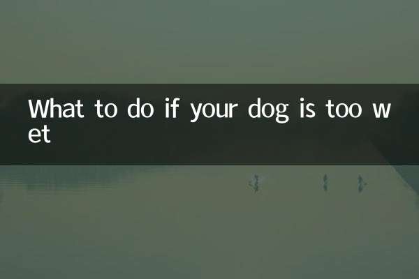 犬が濡れすぎた場合の対処法