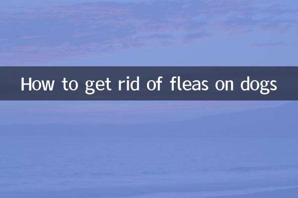 개에 벼룩을 제거하는 방법