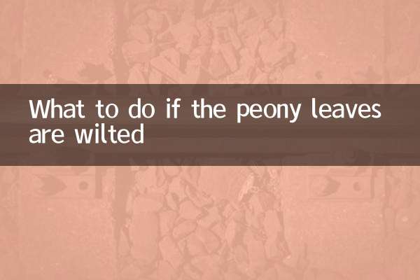 अगर चपरासी की पत्तियाँ मुरझा जाएँ तो क्या करें?