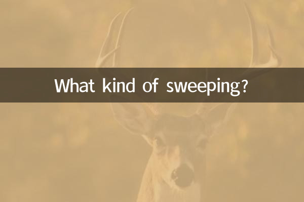 What kind of sweeping?