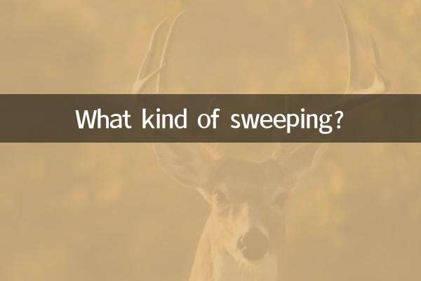 What kind of sweeping?