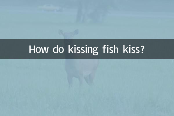 کس طرح مچھلی کو بوسہ دیتے ہیں؟