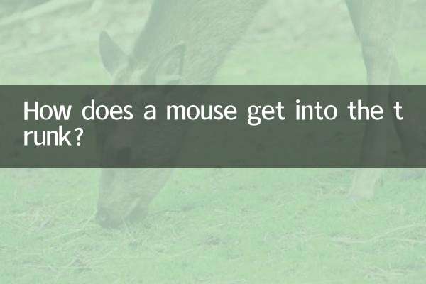 কিভাবে একটি ইঁদুর ট্রাঙ্ক মধ্যে পেতে?