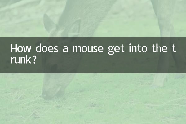 কিভাবে একটি ইঁদুর ট্রাঙ্ক মধ্যে পেতে?