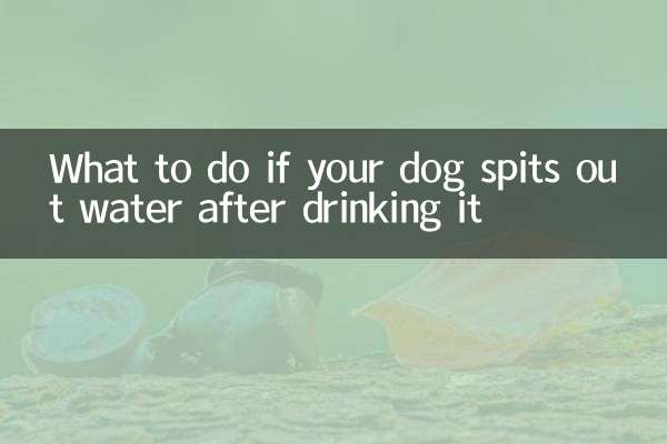 Qué hacer si tu perro escupe agua después de beberla