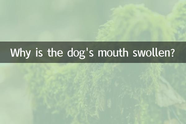 犬の口が腫れているのはなぜですか?