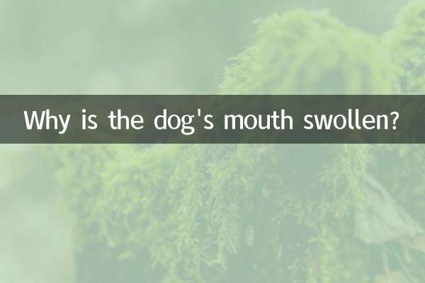 강아지 입이 부어오르는 이유는 무엇인가요?