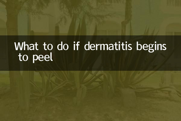 What to do if dermatitis begins to peel