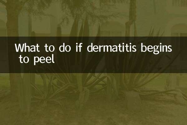 What to do if dermatitis begins to peel