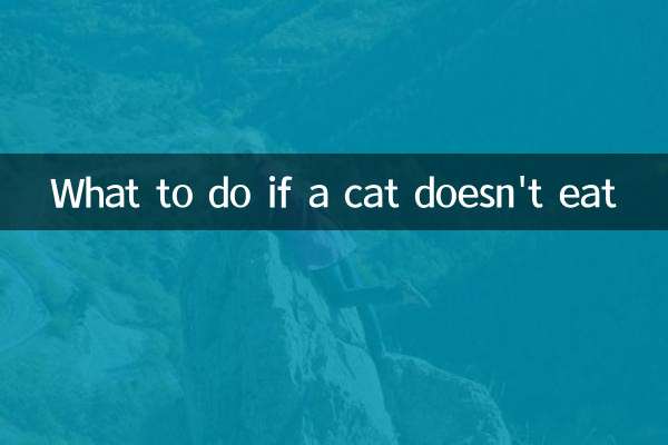 What to do if a cat doesn't eat