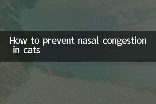 How to prevent nasal congestion in cats