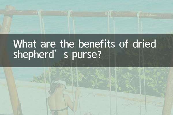 What are the benefits of dried shepherd’s purse?