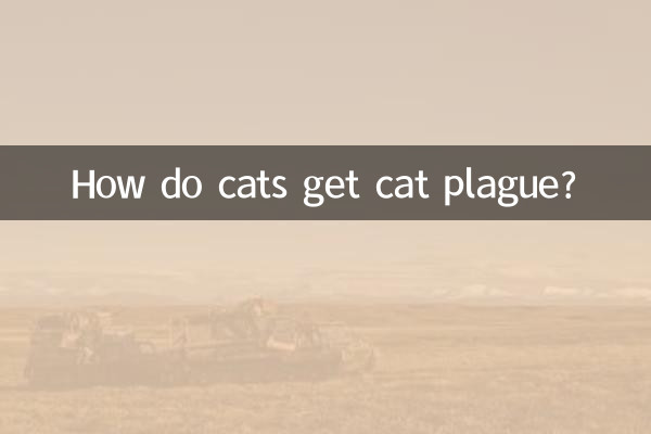 ¿Cómo contraen los gatos la peste felina?