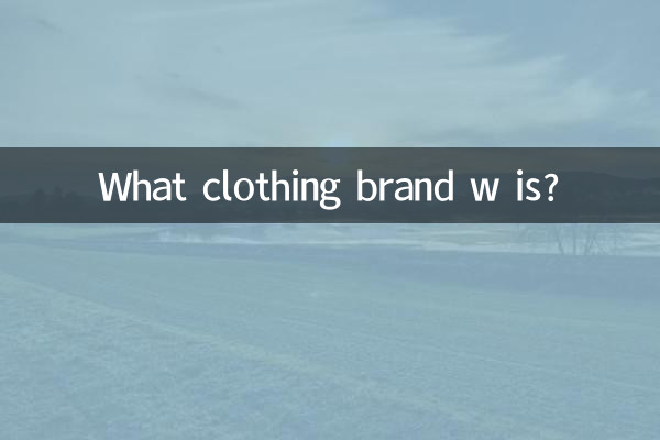 w是什麼服裝品牌