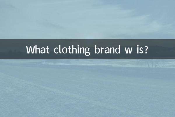 w是什么服装品牌