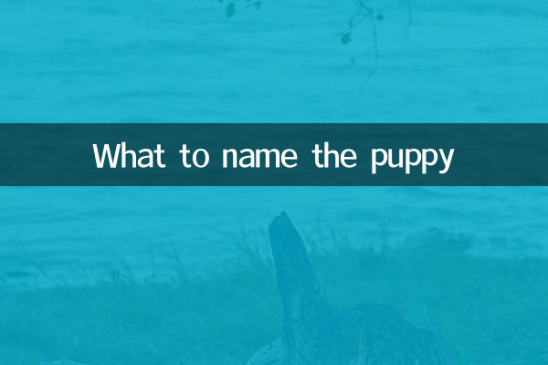 কুকুরছানাটির নাম কী