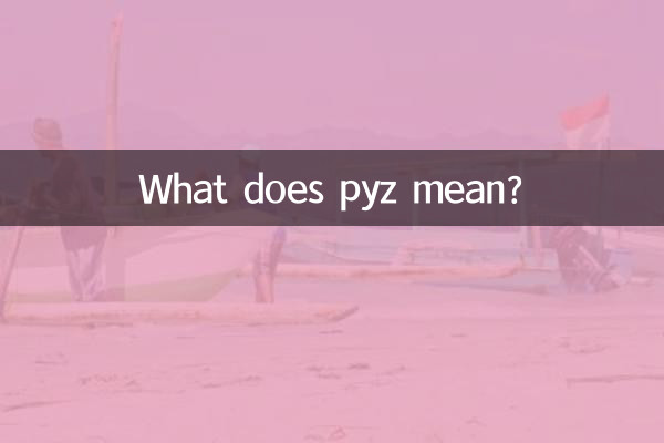 パイズってどういう意味ですか?