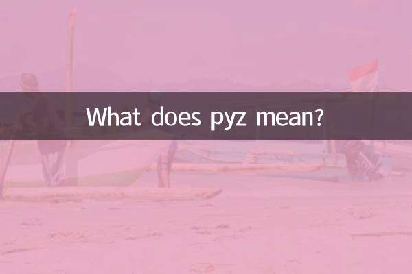 パイズってどういう意味ですか？