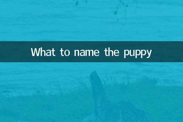 Come chiamare il cucciolo
