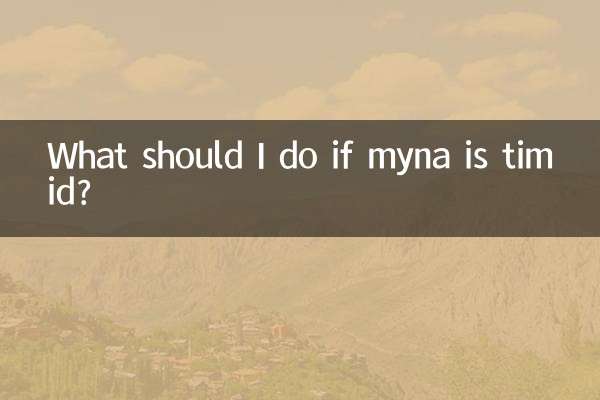 八哥膽小怎麼辦