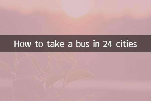 Cómo tomar un autobús en 24 ciudades