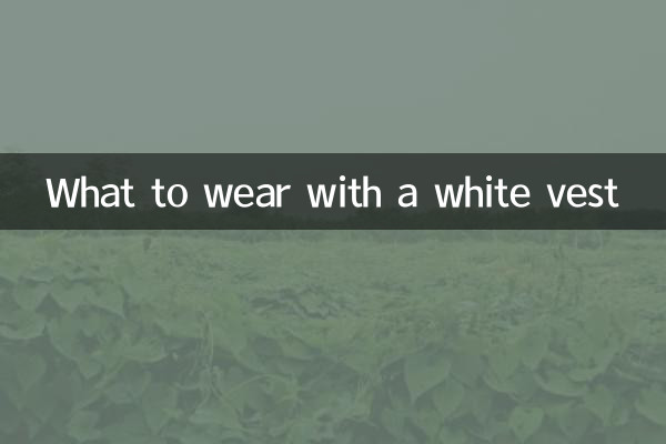 흰색 조끼로 무엇을 입을까요?