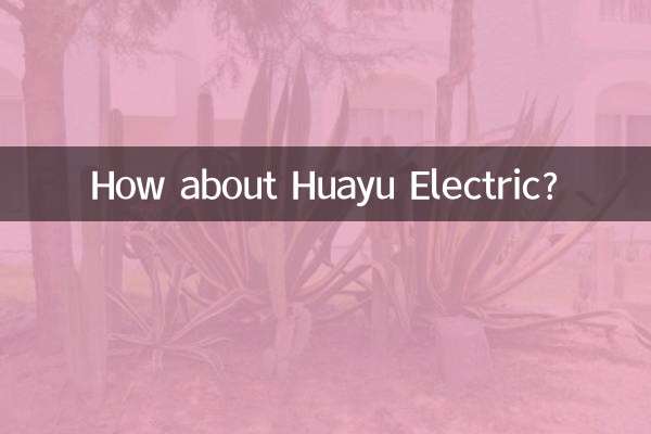 Que tal Huayu Electric?