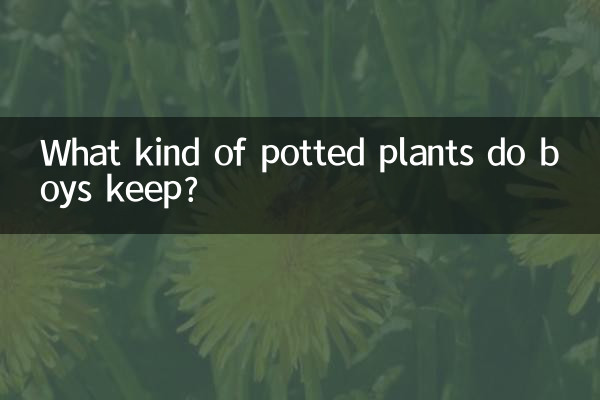 What kind of potted plants do boys keep?