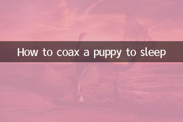 子犬を寝かしつける方法